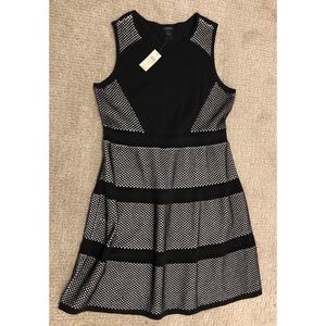 Ann Taylor Knit Dress